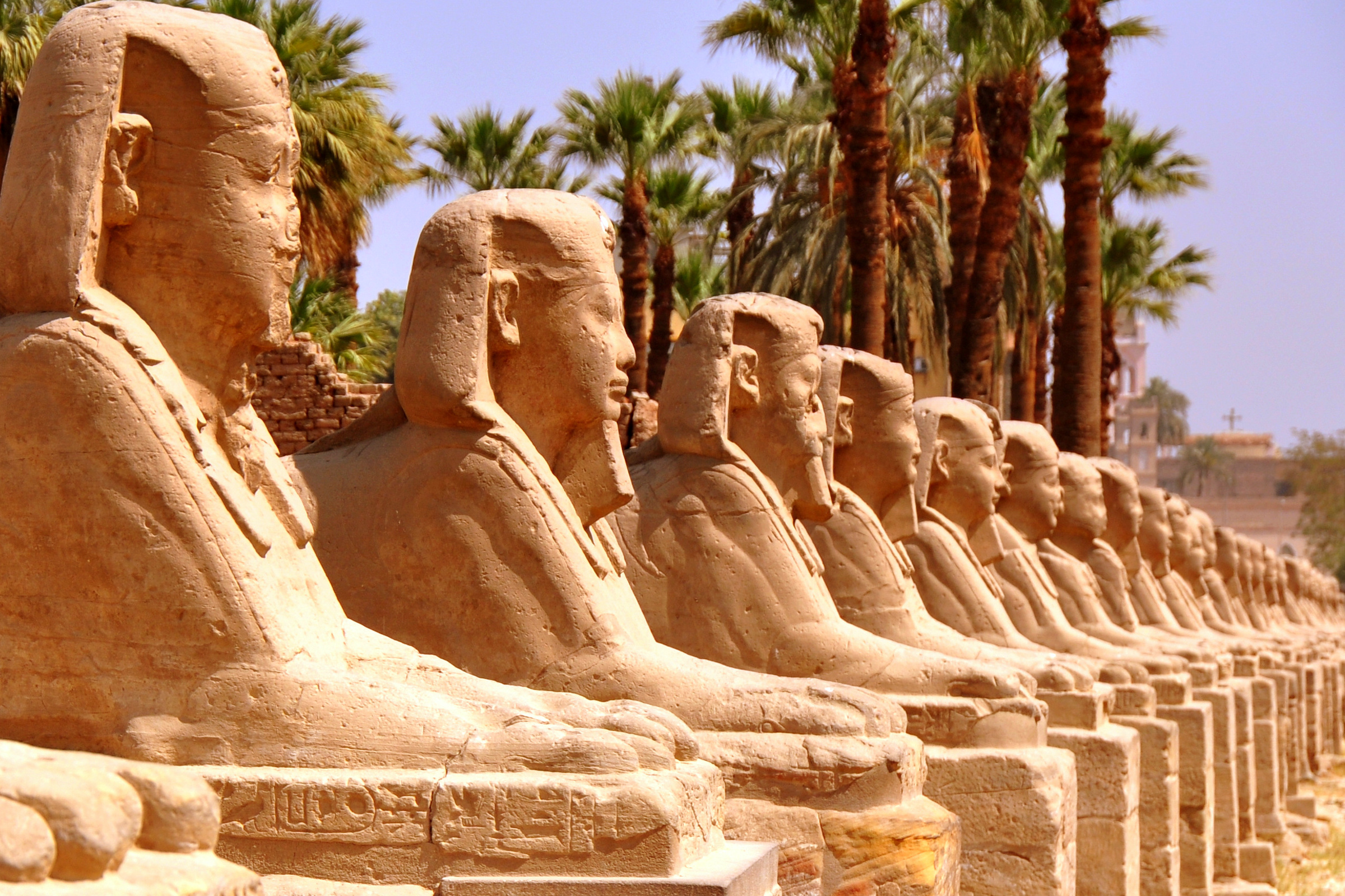 Day 6 : Luxor (West Bank)