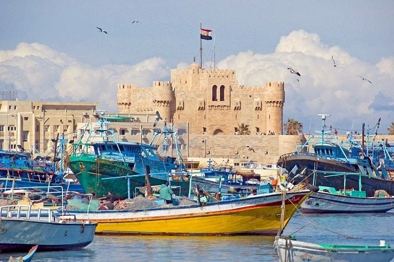 Day 08:  Alexandria Day Trip