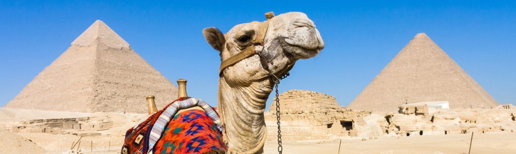 Can I Travel to Egypt Without Vaccinations