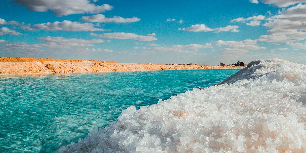 Siwa Safari & Salt Lakes Experience