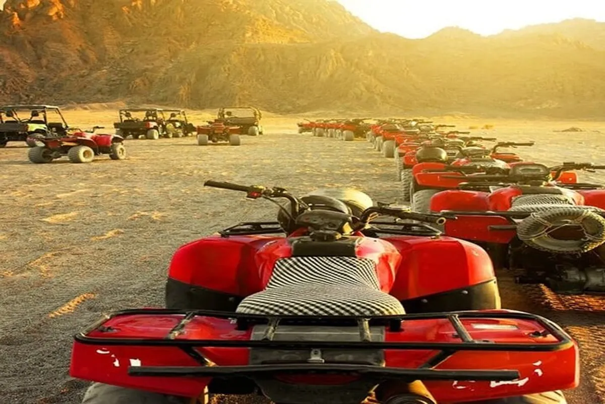 Desert Safari