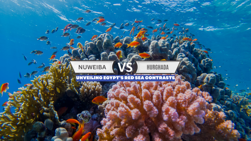 Nuweiba vs Hurghada: Unveiling Egypt’s Red Sea Contrasts