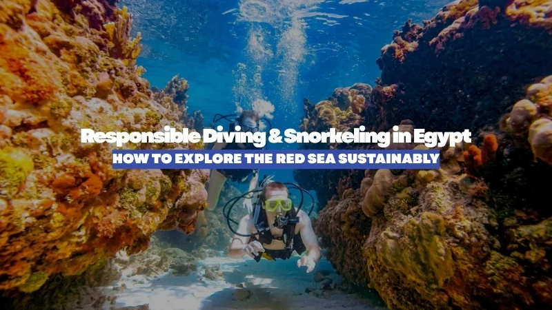 Responsible Diving & Snorkeling in Egypt: How to Explore the Red Sea Sustainably