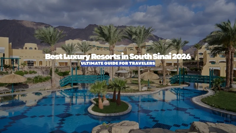 Best Luxury Resorts in South Sinai 2026: Where to Stay for Beach, Diving, and Wellness