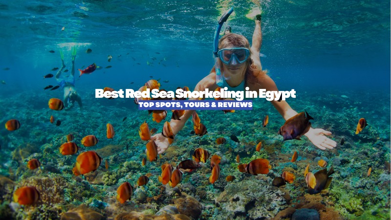 Best Red Sea Snor﻿keling in Egypt: Top Spots, Tours & Reviews