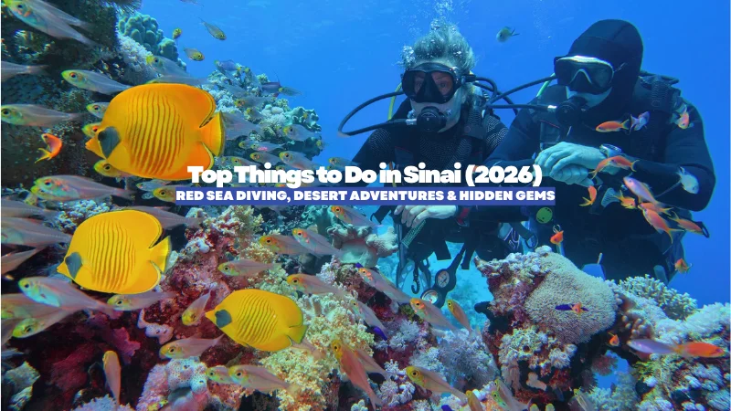 Top Things to Do in Sinai (2026): Red Sea Diving, Desert